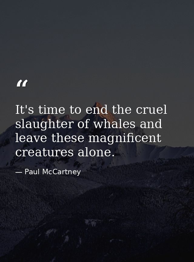 It's time to end the cruel slaughter of whales and leave these magnificent creatures alone. — Paul McCartney