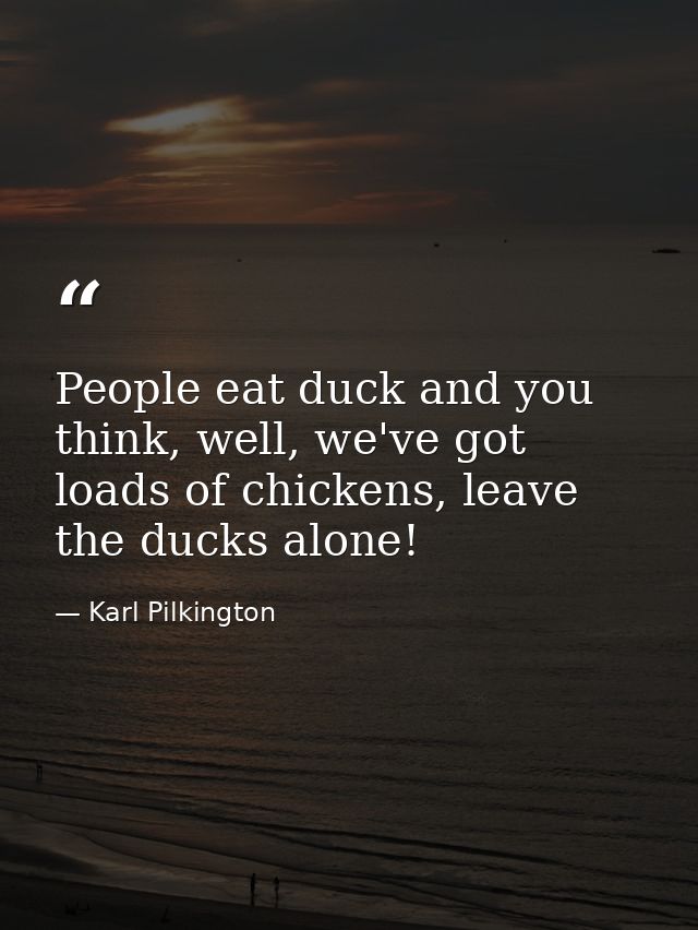 People eat duck and you think, well, we've got loads of chickens, leave the ducks alone! — Karl Pilkington