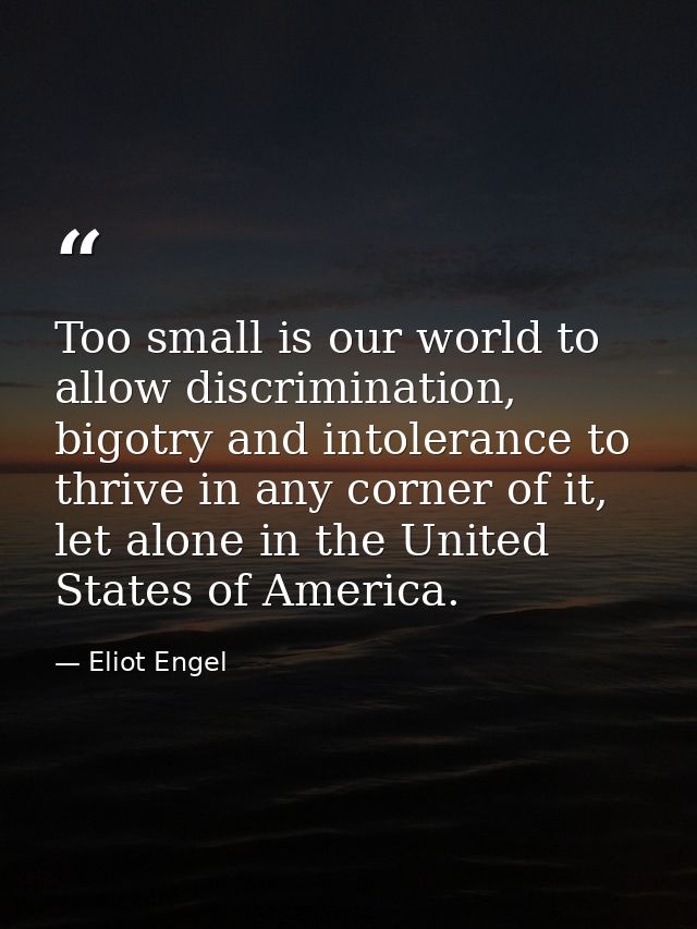 Too small is our world to allow discrimination, bigotry and intolerance to thrive in any corner of it, let alone in the  — Eliot Engel