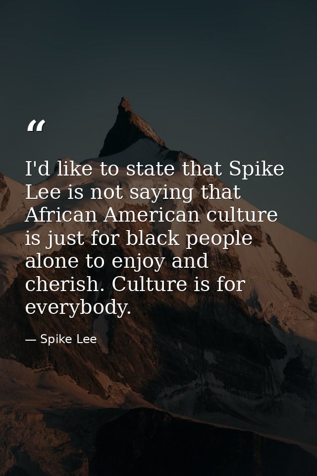 I'd like to state that Spike Lee is not saying that African American culture is just for black people alone to enjoy and — Spike Lee