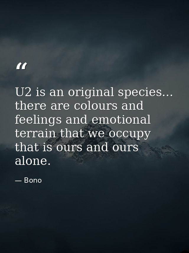 U2 is an original species... there are colours and feelings and emotional terrain that we occupy that is ours and ours a — Bono