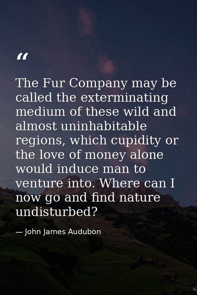 The Fur Company may be called the exterminating medium of these wild and almost uninhabitable regions, which cupidity or — John James Audubon