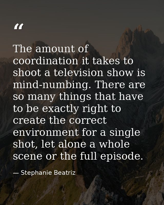 The amount of coordination it takes to shoot a television show is mind-numbing. There are so many things that have to be — Stephanie Beatriz