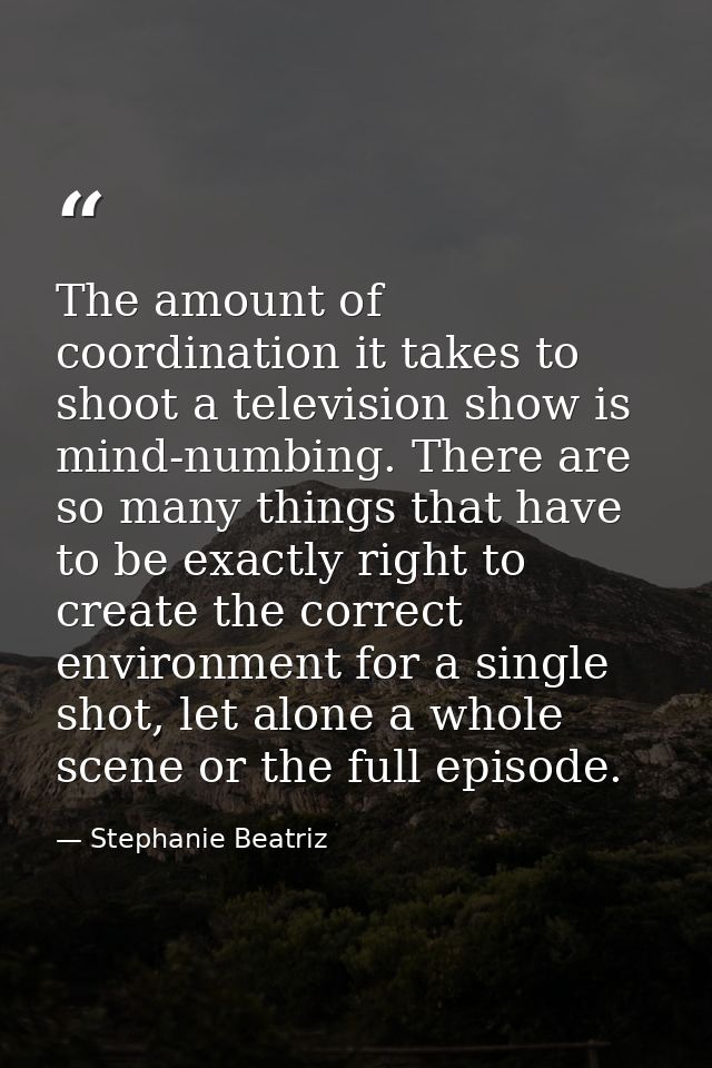 The amount of coordination it takes to shoot a television show is mind-numbing. There are so many things that have to be — Stephanie Beatriz