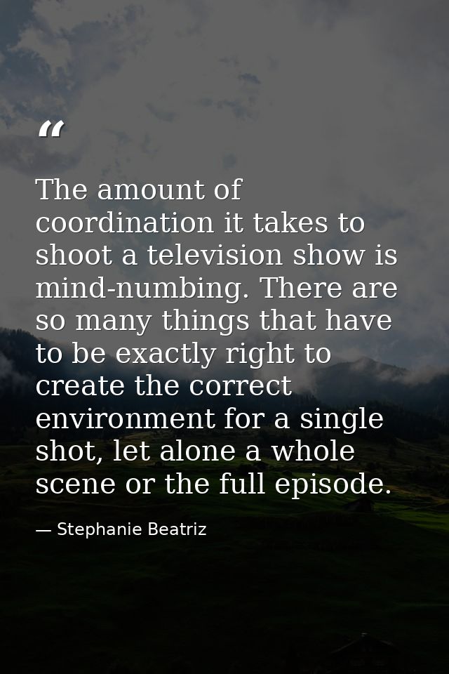 The amount of coordination it takes to shoot a television show is mind-numbing. There are so many things that have to be — Stephanie Beatriz