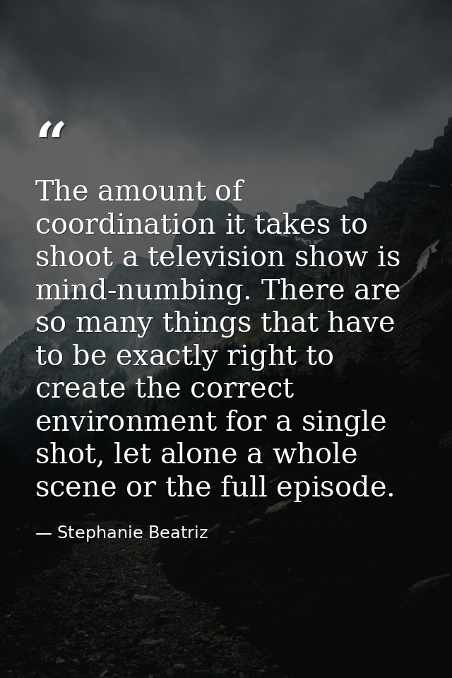 The amount of coordination it takes to shoot a television show is mind-numbing. There are so many things that have to be — Stephanie Beatriz