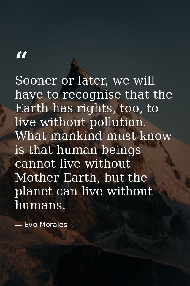 Sooner or later, we will have to recognise that the Earth has rights, too, to live without pollution. What mankind must  — Evo Morales