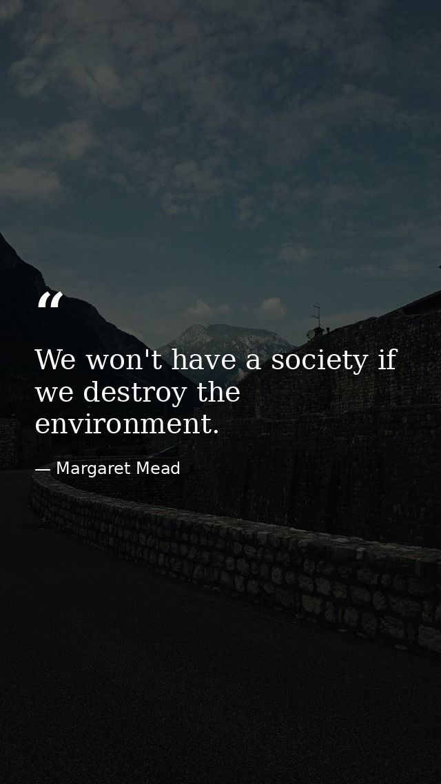 We won't have a society if we destroy the environment. — Margaret Mead