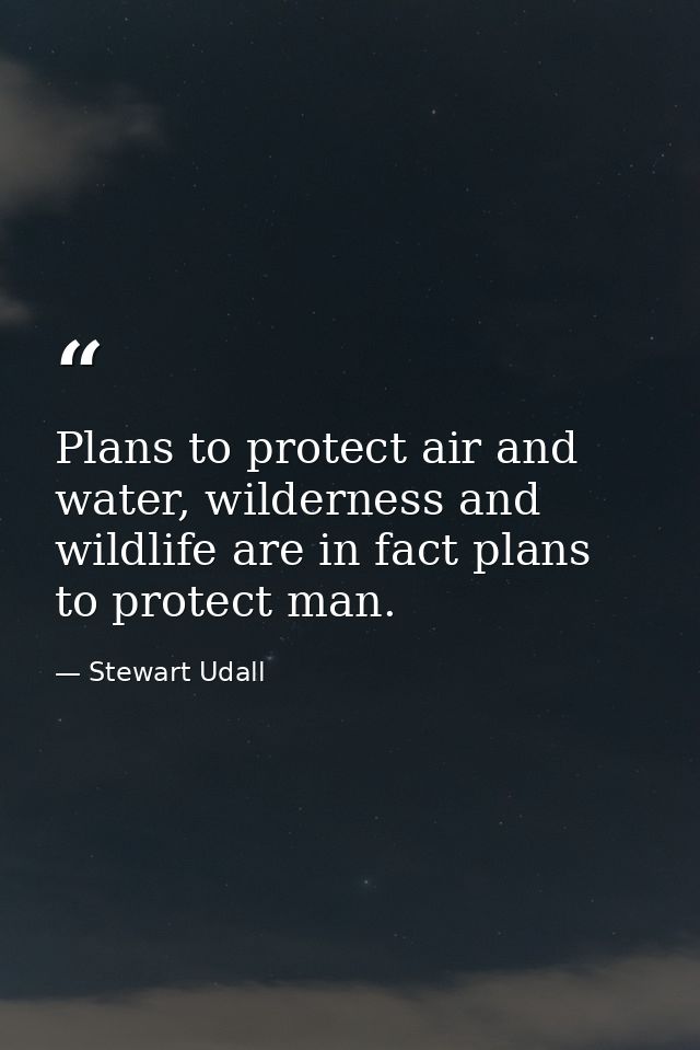 Plans to protect air and water, wilderness and wildlife are in fact plans to protect man. — Stewart Udall
