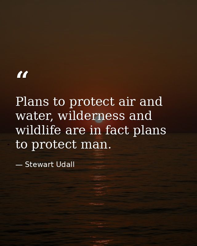Plans to protect air and water, wilderness and wildlife are in fact plans to protect man. — Stewart Udall