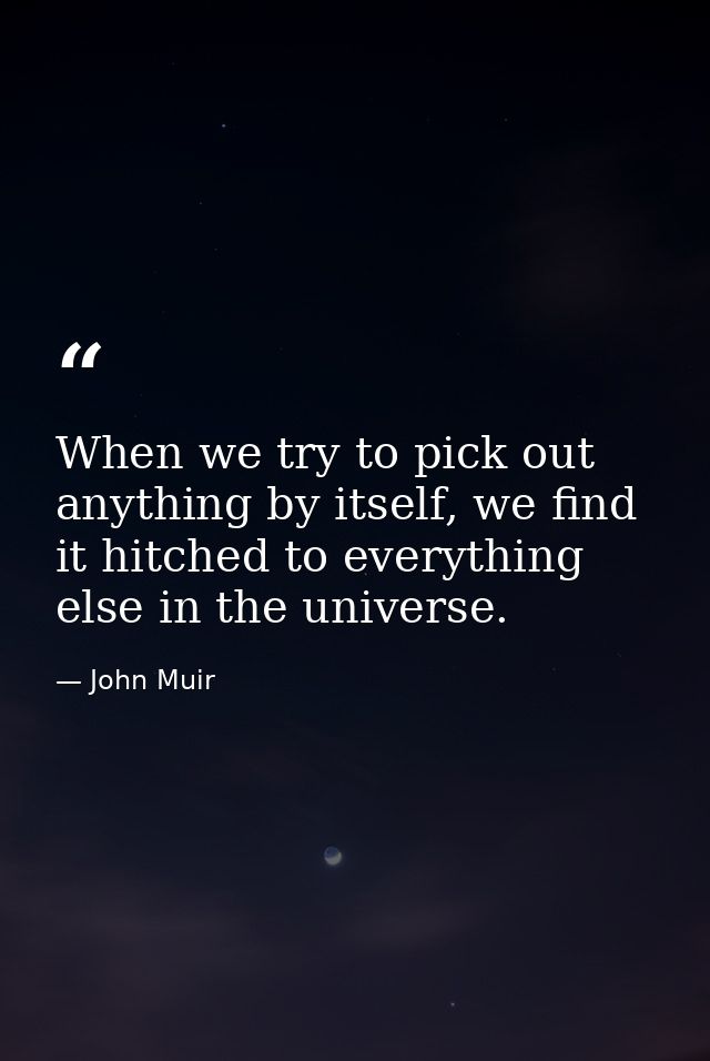 When we try to pick out anything by itself, we find it hitched to everything else in the universe. — John Muir