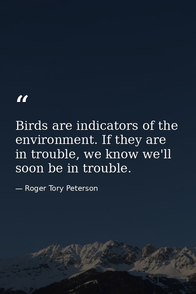 Birds are indicators of the environment. If they are in trouble, we know we'll soon be in trouble. — Roger Tory Peterson