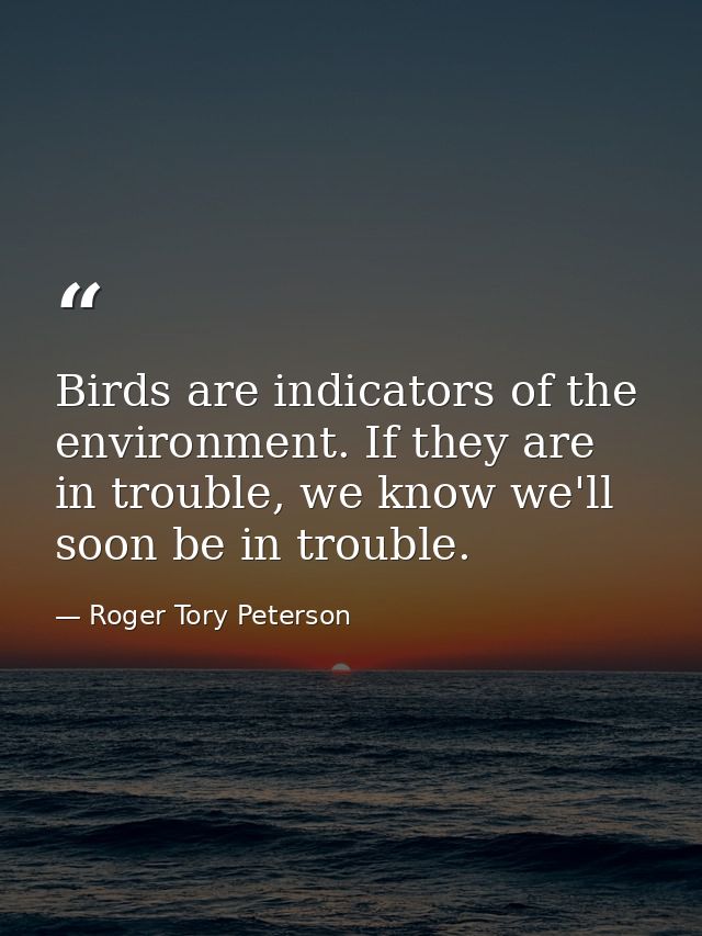 Birds are indicators of the environment. If they are in trouble, we know we'll soon be in trouble. — Roger Tory Peterson