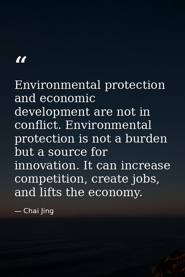 Environmental protection and economic development are not in conflict. Environmental protection is not a burden but a so — Chai Jing