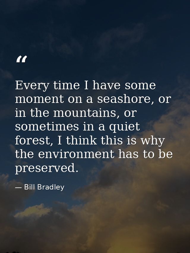 Every time I have some moment on a seashore, or in the mountains, or sometimes in a quiet forest, I think this is why th — Bill Bradley