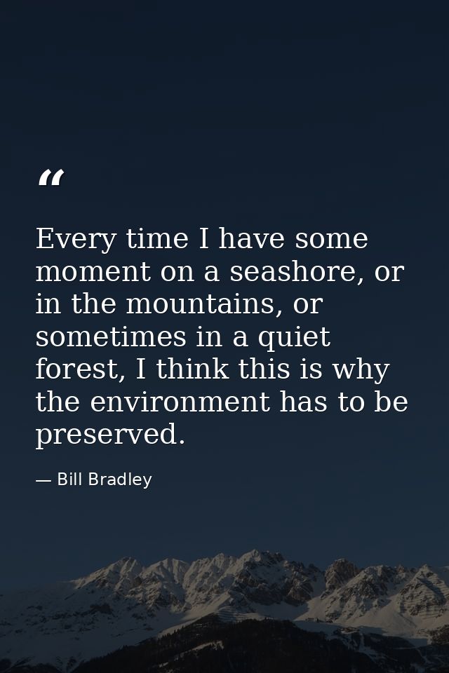 Every time I have some moment on a seashore, or in the mountains, or sometimes in a quiet forest, I think this is why th — Bill Bradley