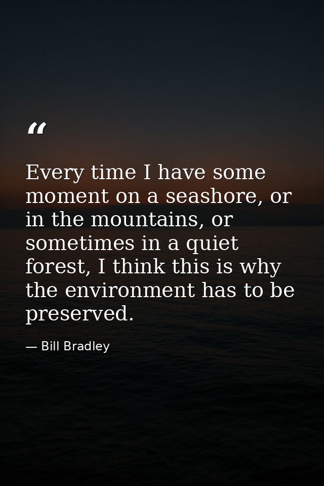 Every time I have some moment on a seashore, or in the mountains, or sometimes in a quiet forest, I think this is why th — Bill Bradley
