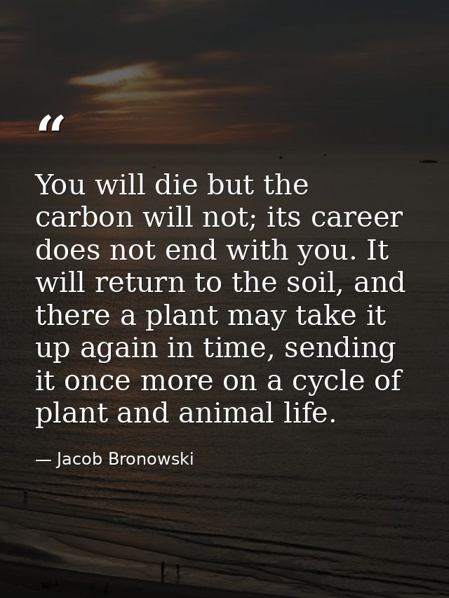 You will die but the carbon will not; its career does not end with you. It will return to the soil, and there a plant ma — Jacob Bronowski