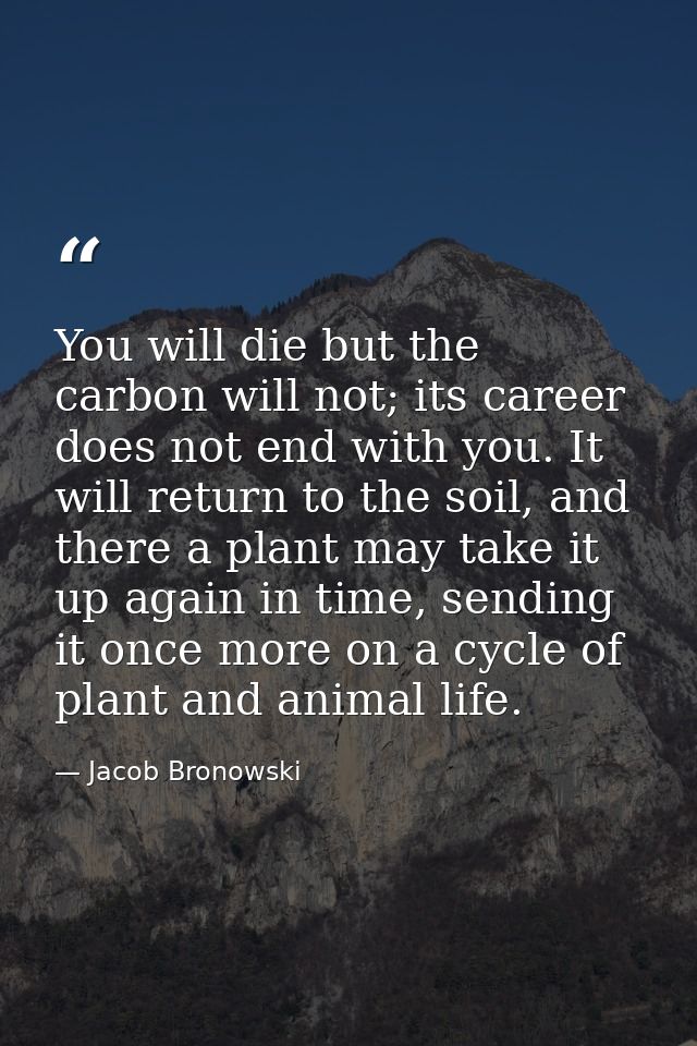You will die but the carbon will not; its career does not end with you. It will return to the soil, and there a plant ma — Jacob Bronowski