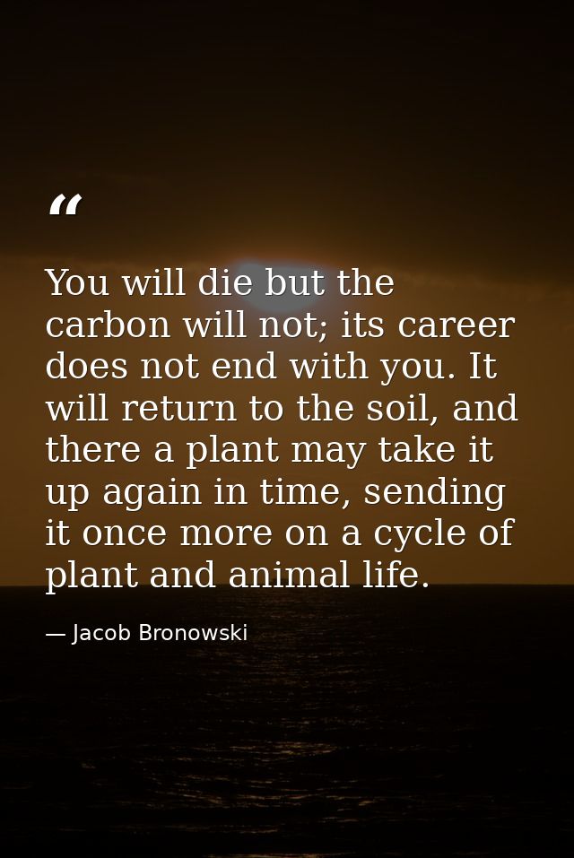 You will die but the carbon will not; its career does not end with you. It will return to the soil, and there a plant ma — Jacob Bronowski