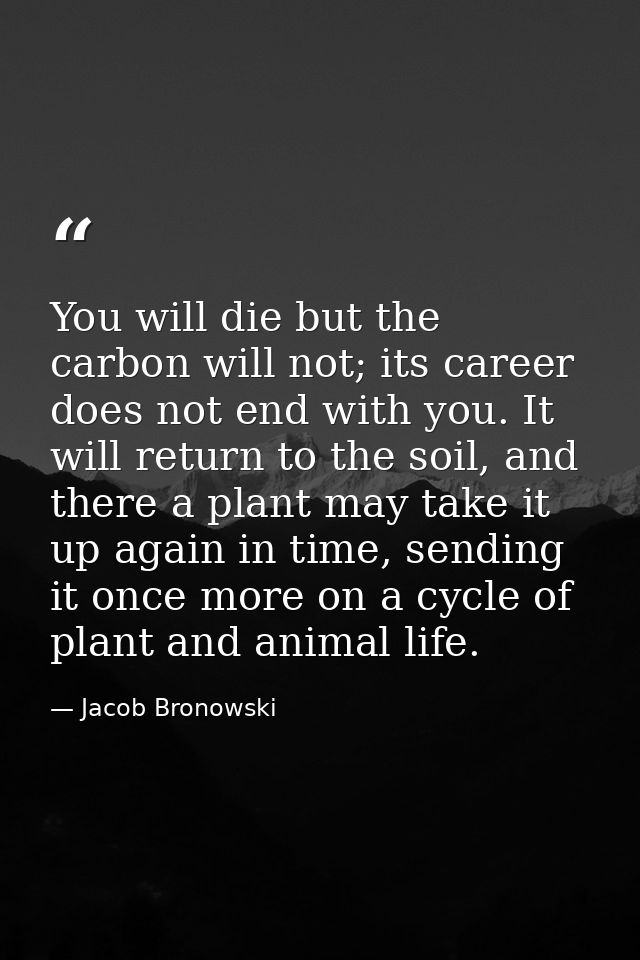 You will die but the carbon will not; its career does not end with you. It will return to the soil, and there a plant ma — Jacob Bronowski