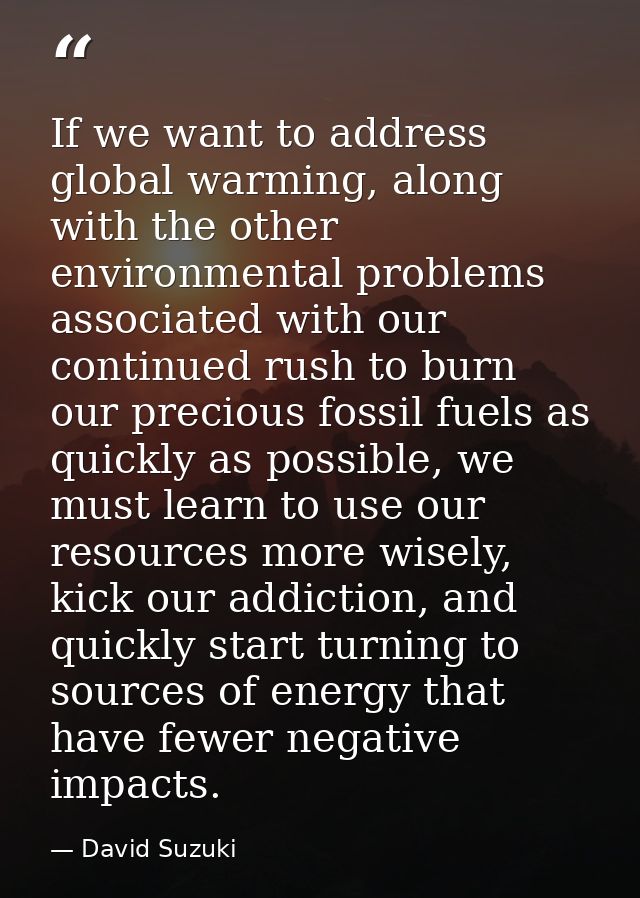 If we want to address global warming, along with the other environmental problems associated with our continued rush to  — David Suzuki