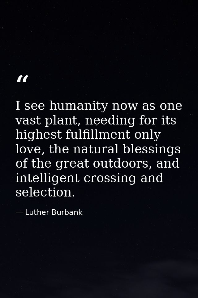 I see humanity now as one vast plant, needing for its highest fulfillment only love, the natural blessings of the great  — Luther Burbank