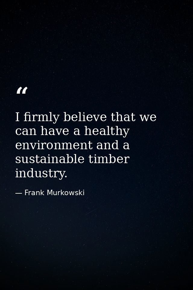 I firmly believe that we can have a healthy environment and a sustainable timber industry. — Frank Murkowski