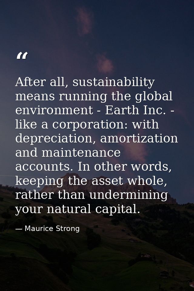 After all, sustainability means running the global environment - Earth Inc. - like a corporation: with depreciation, amo — Maurice Strong