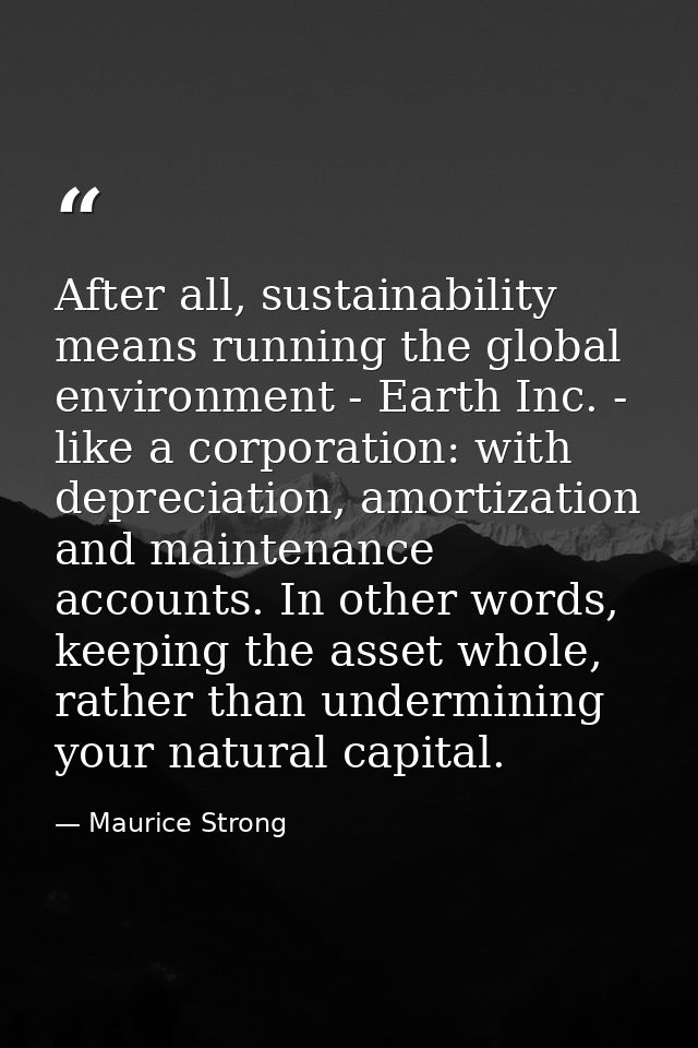 After all, sustainability means running the global environment - Earth Inc. - like a corporation: with depreciation, amo — Maurice Strong