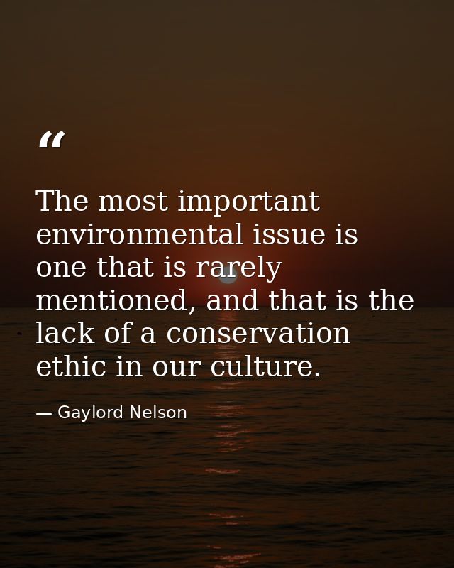 The most important environmental issue is one that is rarely mentioned, and that is the lack of a conservation ethic in  — Gaylord Nelson