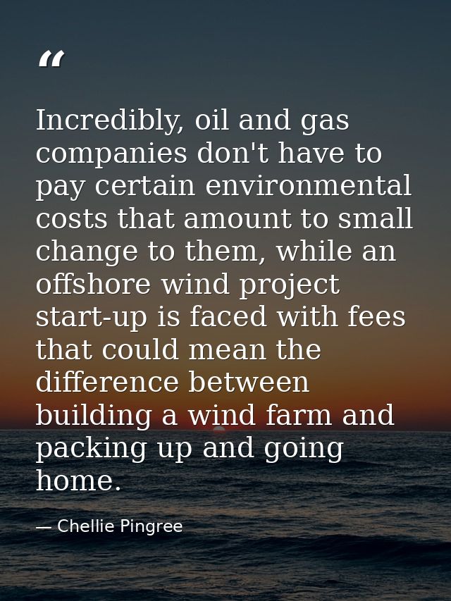 Incredibly, oil and gas companies don't have to pay certain environmental costs that amount to small change to them, whi — Chellie Pingree