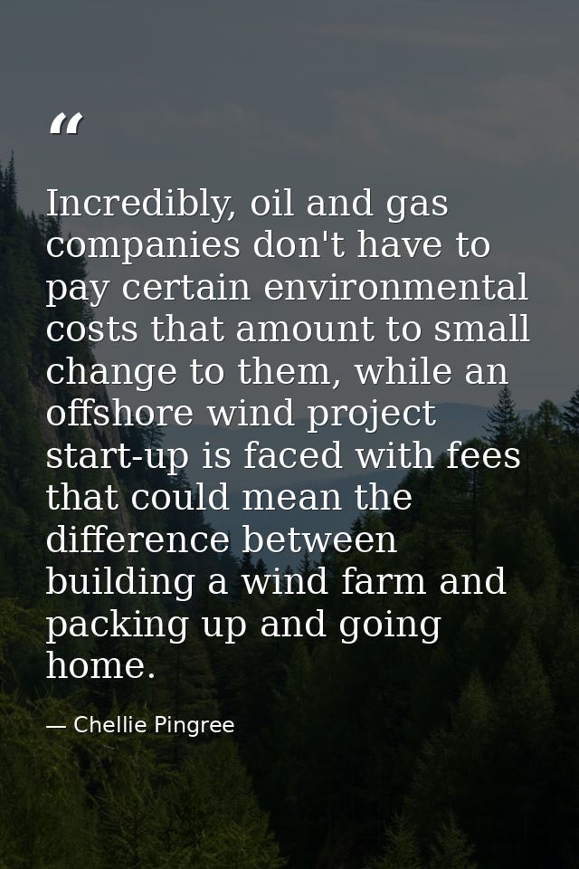 Incredibly, oil and gas companies don't have to pay certain environmental costs that amount to small change to them, whi — Chellie Pingree