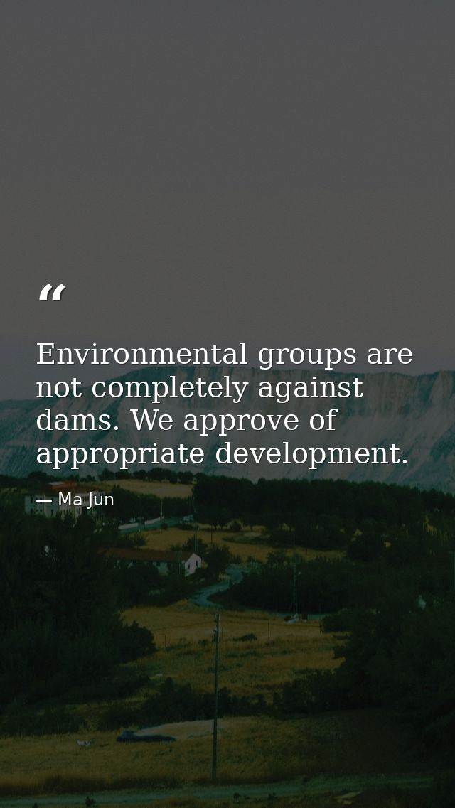 Environmental groups are not completely against dams. We approve of appropriate development. — Ma Jun