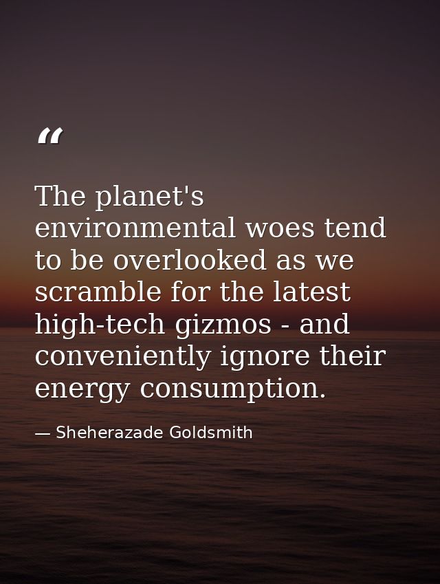 The planet's environmental woes tend to be overlooked as we scramble for the latest high-tech gizmos - and conveniently  — Sheherazade Goldsmith