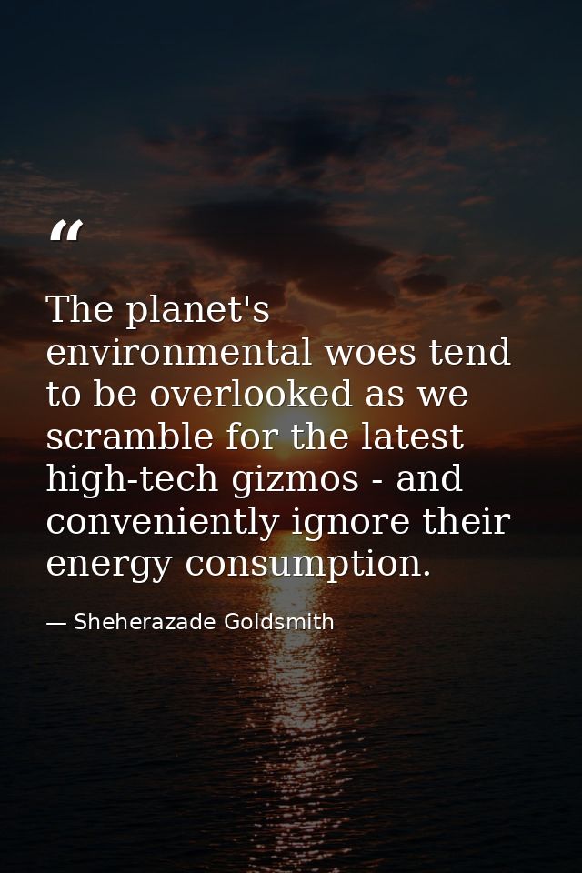 The planet's environmental woes tend to be overlooked as we scramble for the latest high-tech gizmos - and conveniently  — Sheherazade Goldsmith