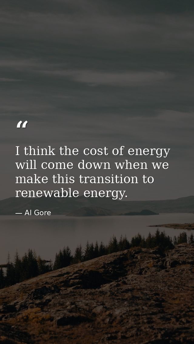 I think the cost of energy will come down when we make this transition to renewable energy. — Al Gore