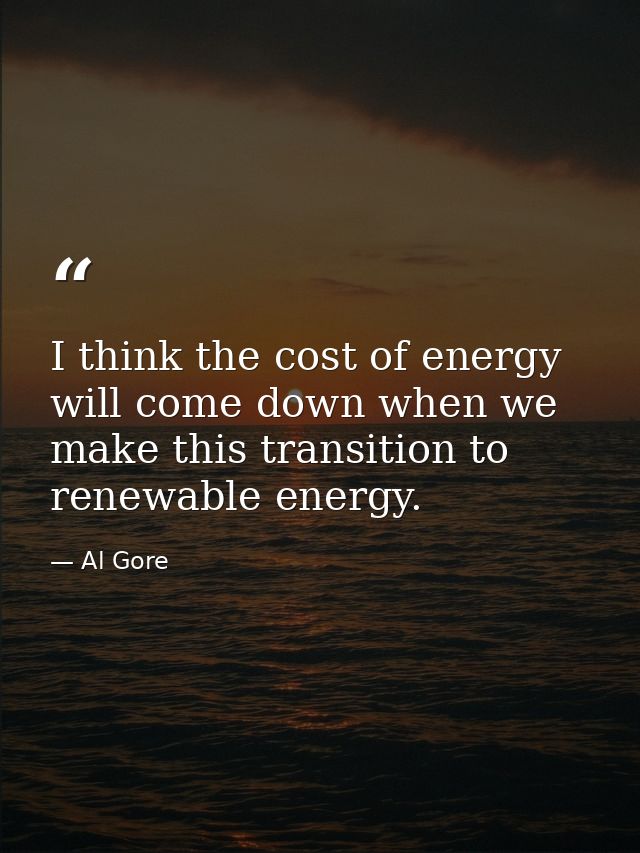 I think the cost of energy will come down when we make this transition to renewable energy. — Al Gore