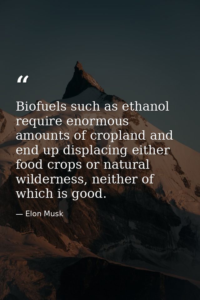 Biofuels such as ethanol require enormous amounts of cropland and end up displacing either food crops or natural wildern — Elon Musk