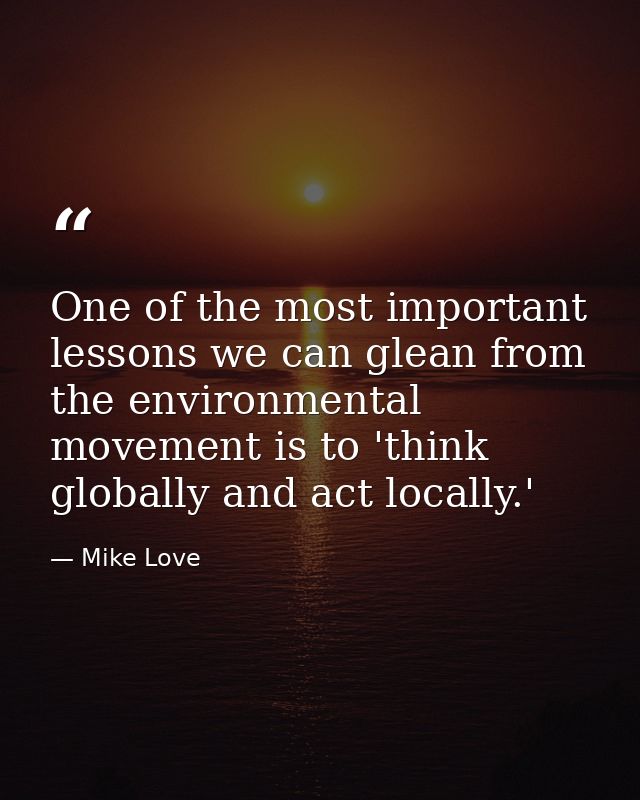 One of the most important lessons we can glean from the environmental movement is to 'think globally and act locally.' — Mike Love