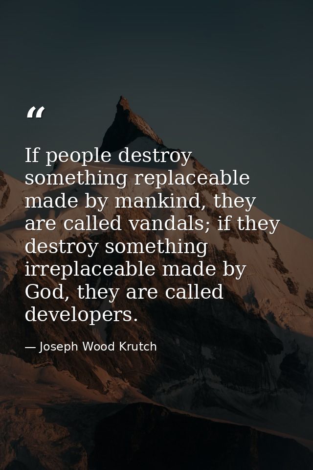 If people destroy something replaceable made by mankind, they are called vandals; if they destroy something irreplaceabl — Joseph Wood Krutch