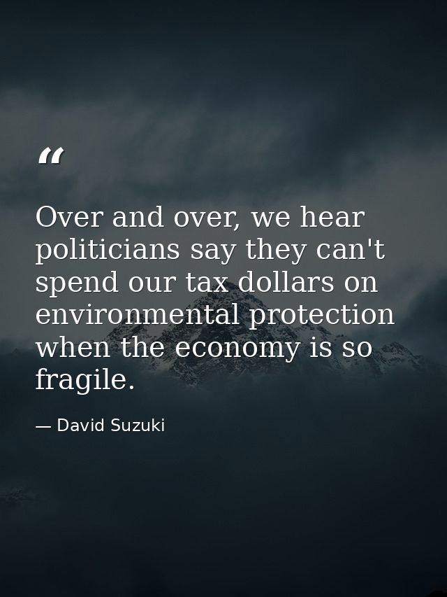 Over and over, we hear politicians say they can't spend our tax dollars on environmental protection when the economy is  — David Suzuki