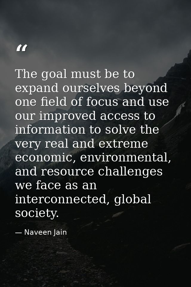 The goal must be to expand ourselves beyond one field of focus and use our improved access to information to solve the v — Naveen Jain