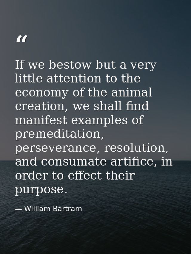 If we bestow but a very little attention to the economy of the animal creation, we shall find manifest examples of preme — William Bartram