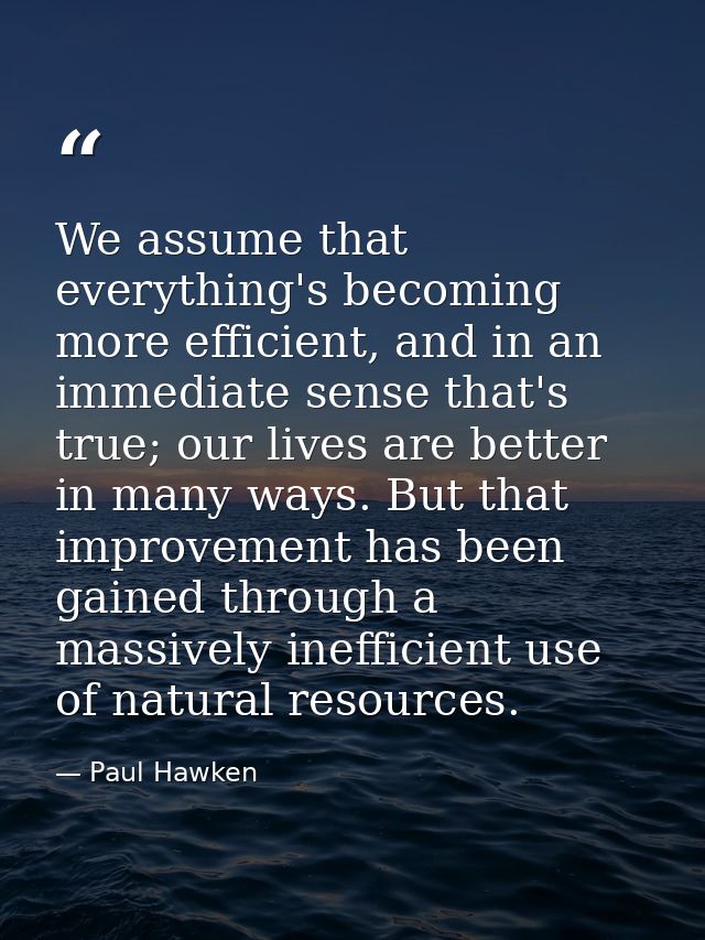 We assume that everything's becoming more efficient, and in an immediate sense that's true; our lives are better in many — Paul Hawken