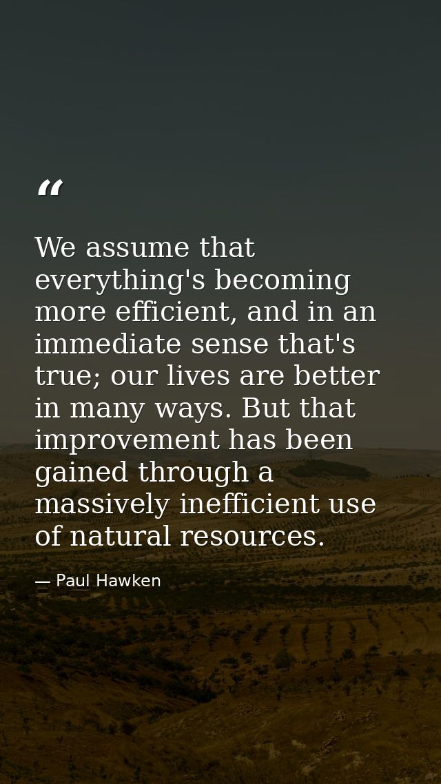 We assume that everything's becoming more efficient, and in an immediate sense that's true; our lives are better in many — Paul Hawken