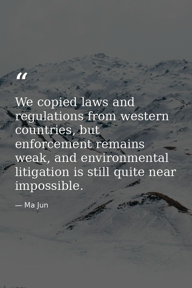 We copied laws and regulations from western countries, but enforcement remains weak, and environmental litigation is sti — Ma Jun