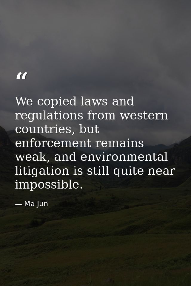 We copied laws and regulations from western countries, but enforcement remains weak, and environmental litigation is sti — Ma Jun