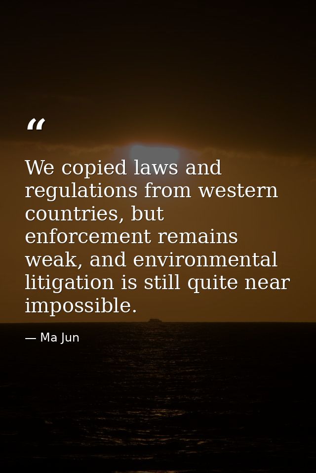 We copied laws and regulations from western countries, but enforcement remains weak, and environmental litigation is sti — Ma Jun