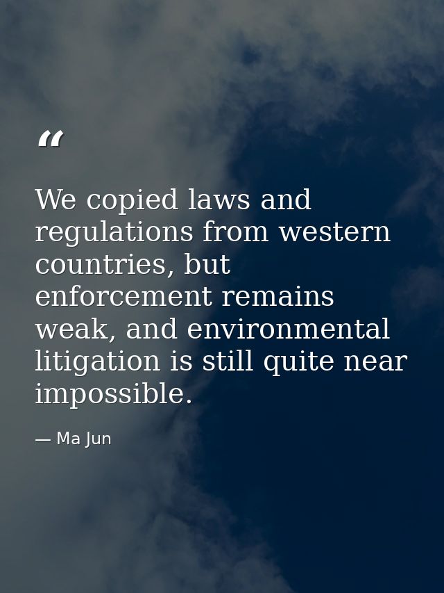 We copied laws and regulations from western countries, but enforcement remains weak, and environmental litigation is sti — Ma Jun